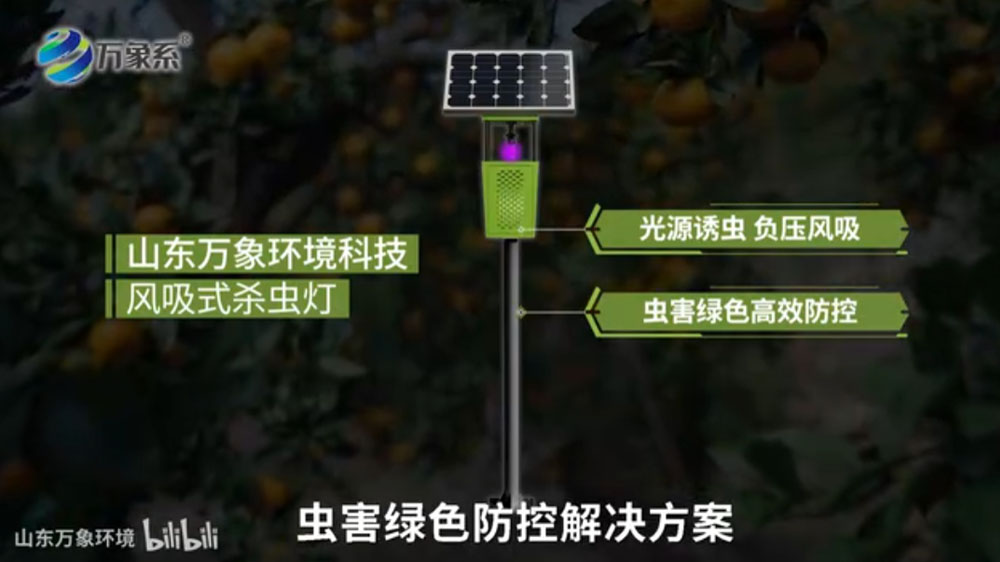 風(fēng)吸式太陽(yáng)能殺蟲(chóng)燈-利用誘蟲(chóng)光源吸引昆蟲(chóng)并通過(guò)設(shè)備機(jī)制捕獲或消滅
